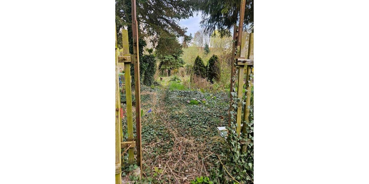 Reihenhaus Südliches Anhalt Pfaffendorf - 4 Zimmer, 85 m&sup2;, 66.000&euro; | Angebot:26196295