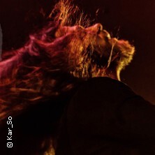 Diary Of Dreams - Live 2025 Leipzig