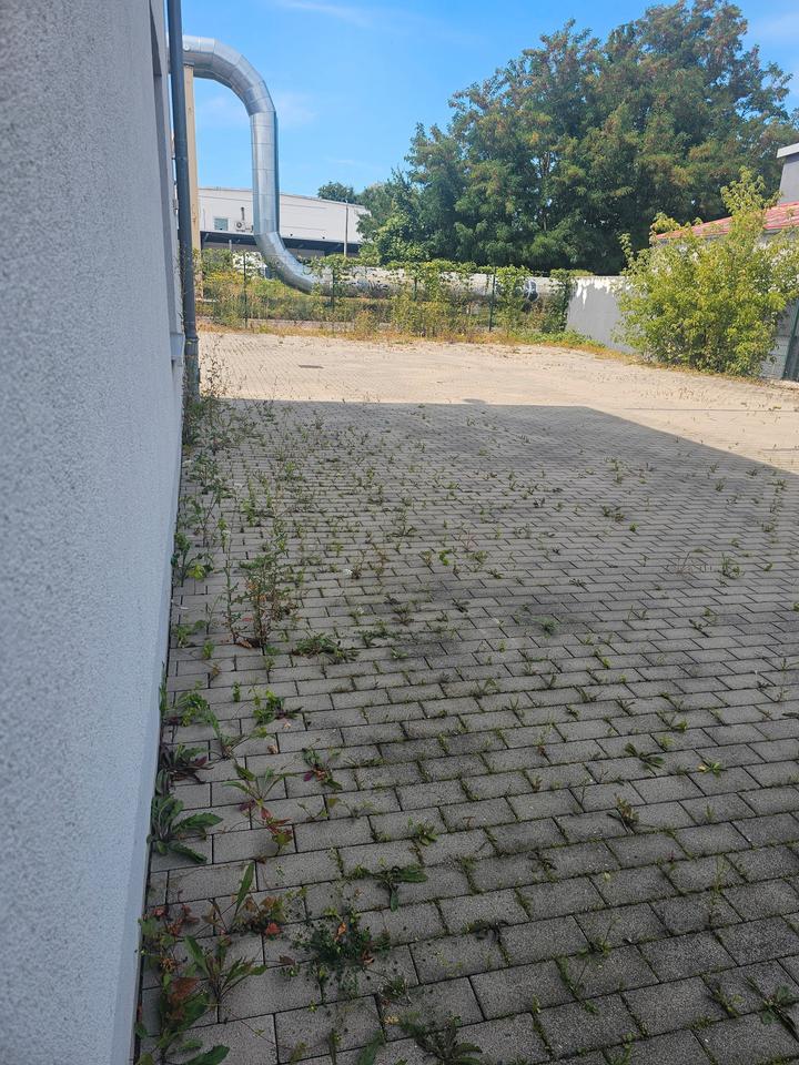 Büro-Produktions- & Werkstattfläche im EG einer freist. GewerbeImmobilie, Rolltor