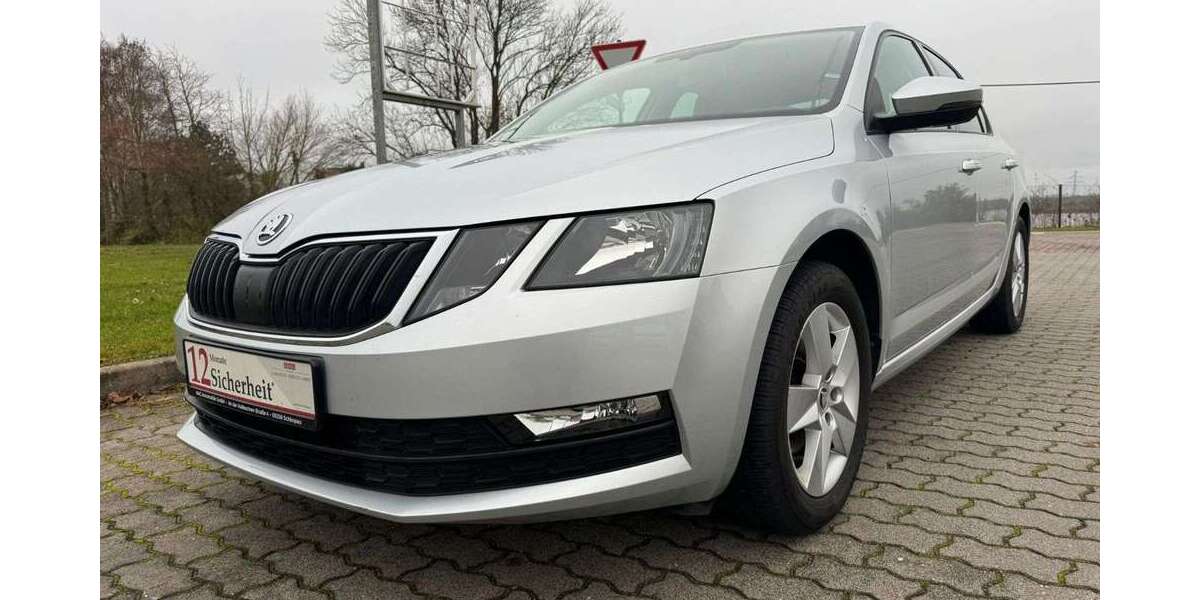 Skoda Octavia 134.730 km 12.999 &euro; Schkopau 06258