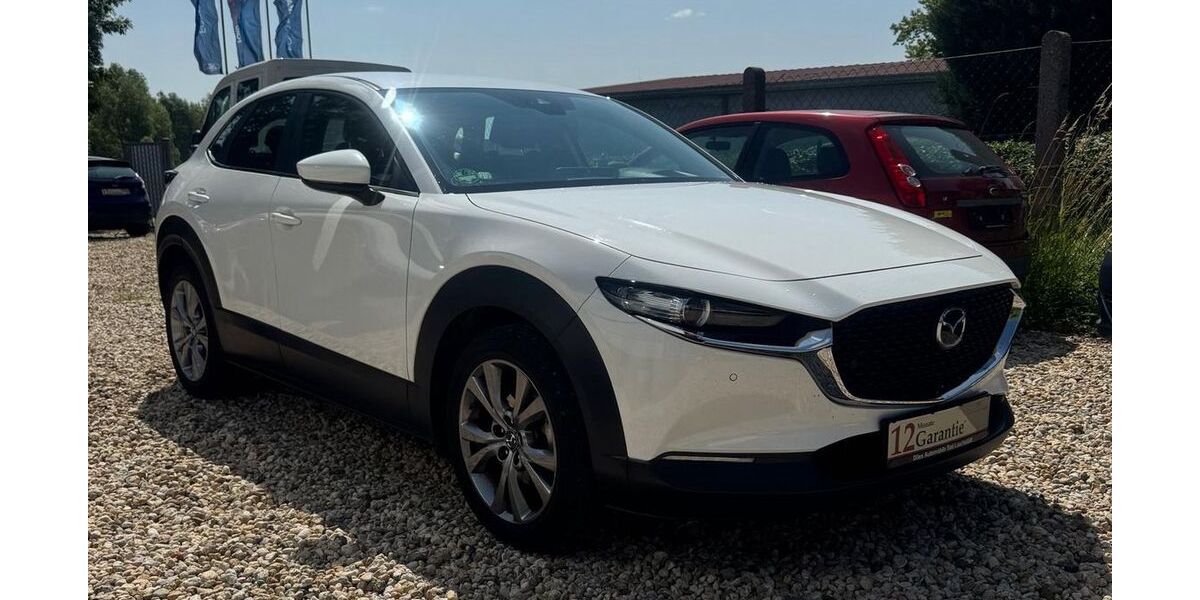 Mazda CX-30 99.978 km 17.999 &euro; Bad Lauchstädt 06246