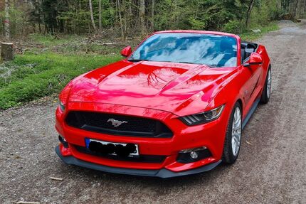 Ford Mustang 40.000 km 35.000 &euro; Petersberg 06193