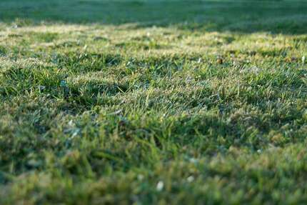 Grundstück Halle (Saale) Damaschkestraße - 125.000&euro; | Angebot:19616828