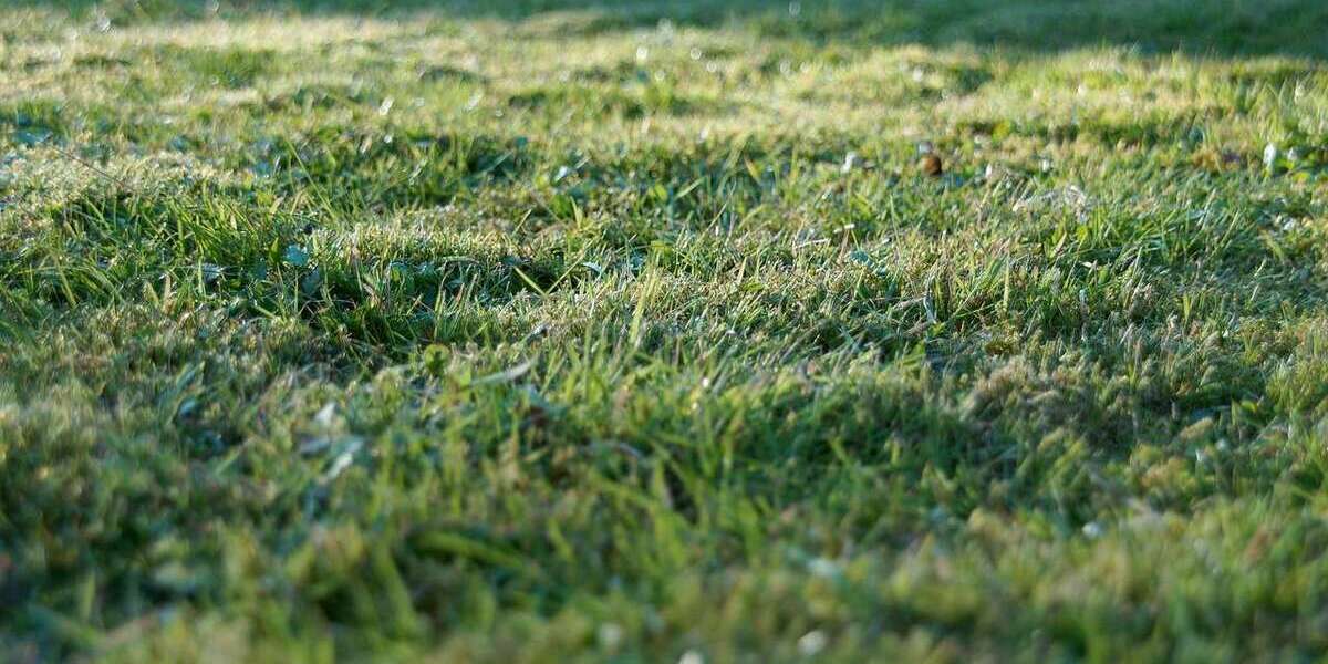 Grundstück Halle (Saale) Damaschkestraße - 125.000&euro; | Angebot:19616828