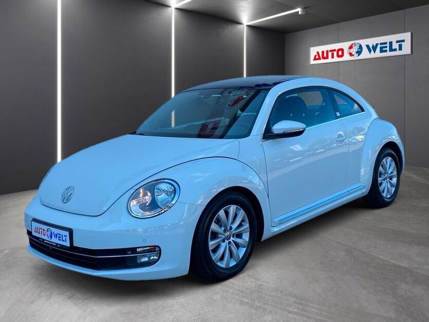 Beetle
