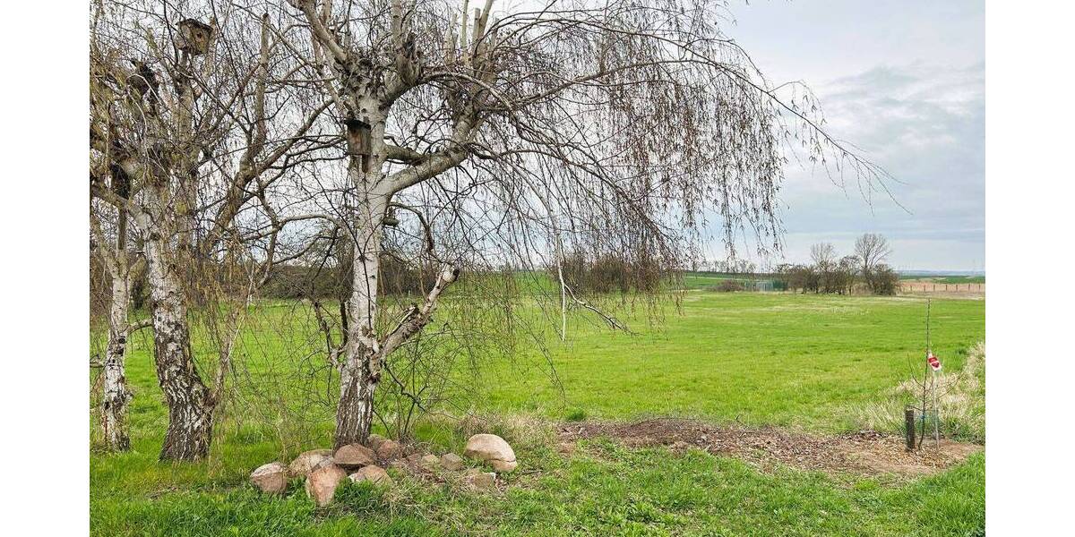 Grundstück Petersberg Drehlitz - 22.000&euro; | Angebot:26092450