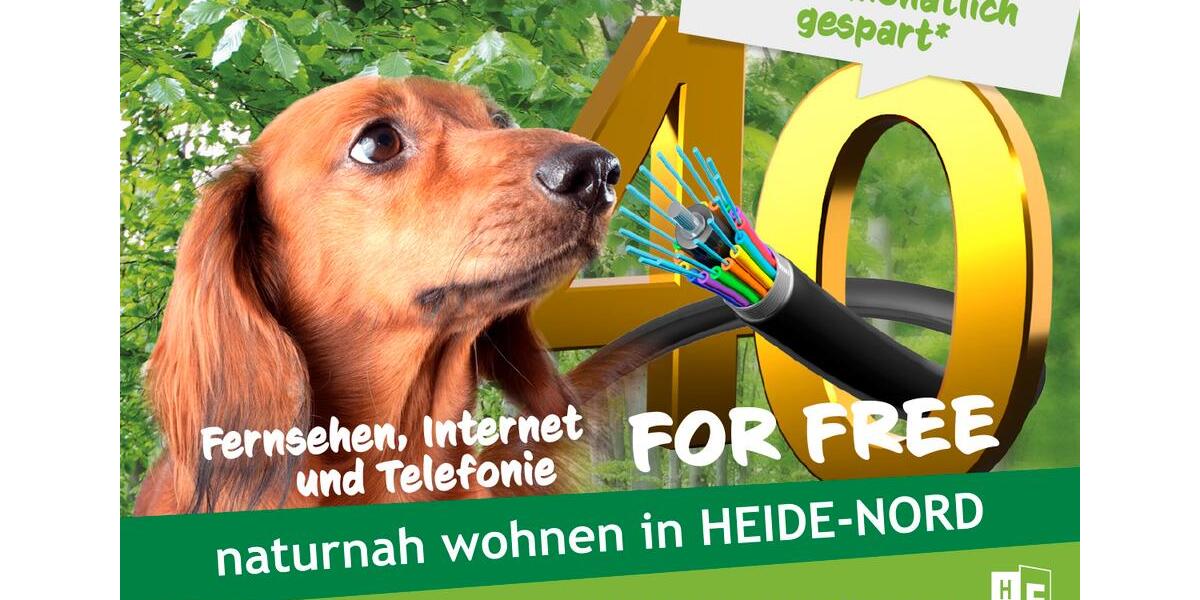 Etagenwohnung Halle (Saale) Dölau - 3 Zimmer, 70 m&sup2;, 423&euro; | Angebot:25579434