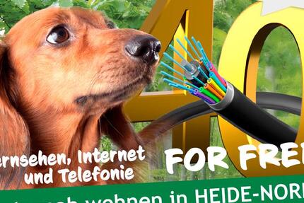 Wohnung Halle (Saale) Dölau - 3 Zimmer, 70 m&sup2;, 423&euro; | Angebot:25579434