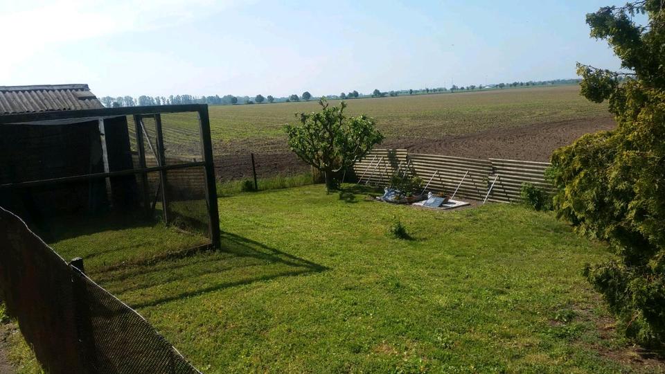 Reihenhaus Südliches Anhalt - 3 Zimmer, 65 m&sup2;, 35.000&euro; | Angebot:26235538