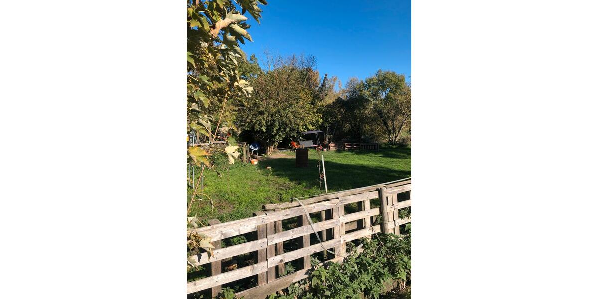 Erdgeschoßwohnung Seegebiet Mansfelder Land - 2 Zimmer, 60 m&sup2;, 350&euro; | Angebot:26302535