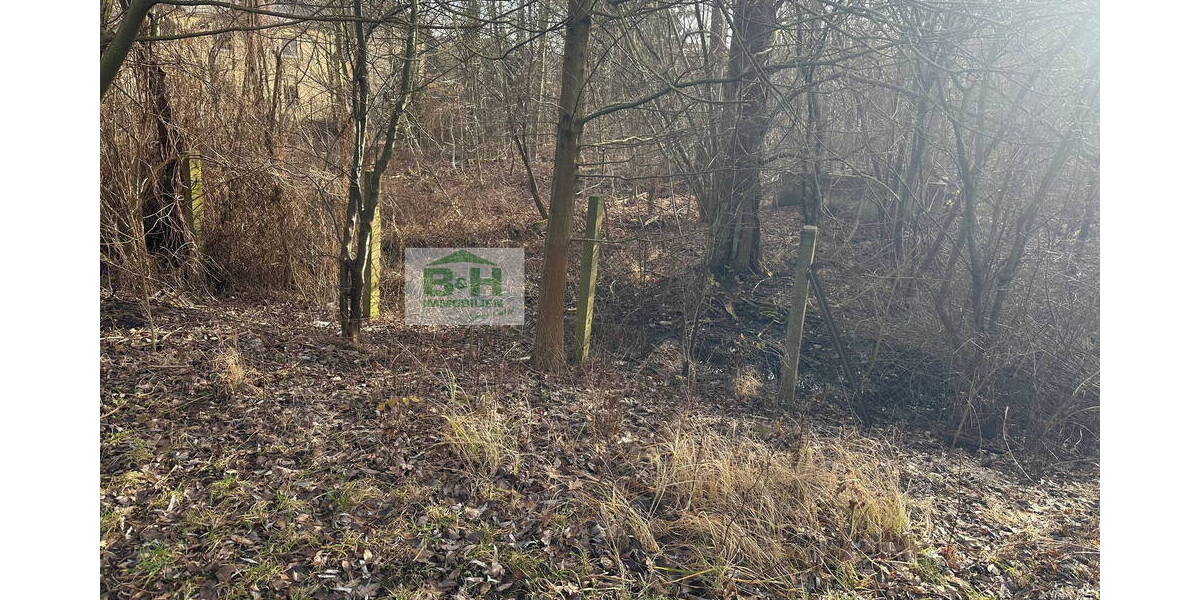 Grundstück Bitterfeld-Wolfen Holzweißig - 39.900&euro; | Angebot:19286667