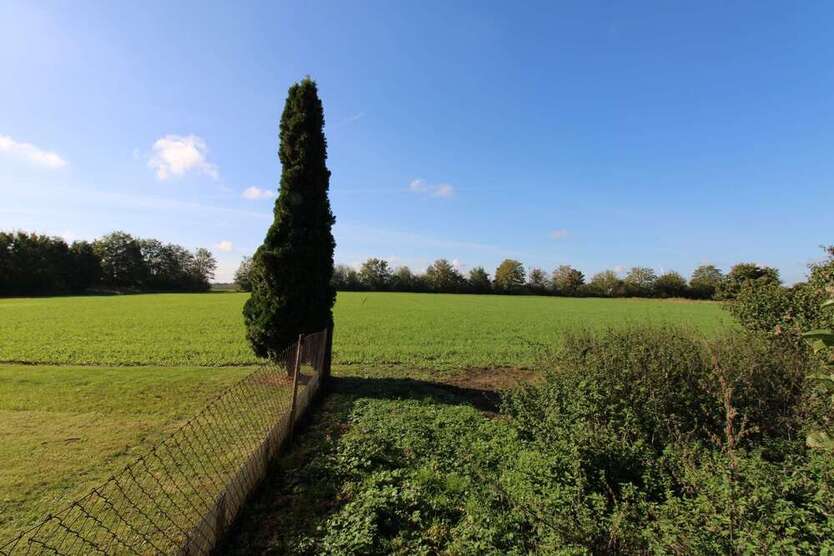 Selbstverwirklichung auf 2.619 qm großem Grundstück + im Umkreis von Halle (Saale) 3 zimmer