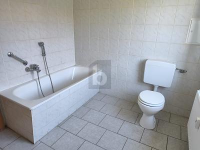 VIEL PLATZ & RUHE MIT GRÜNEM INNENHOF - Etagenwohnung Greppin Greppin | Angebot:26920517