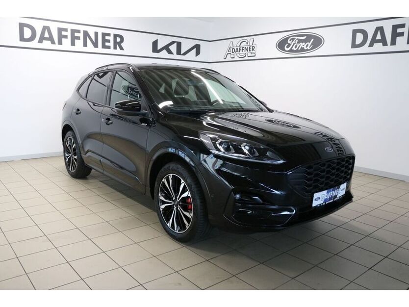 Kuga