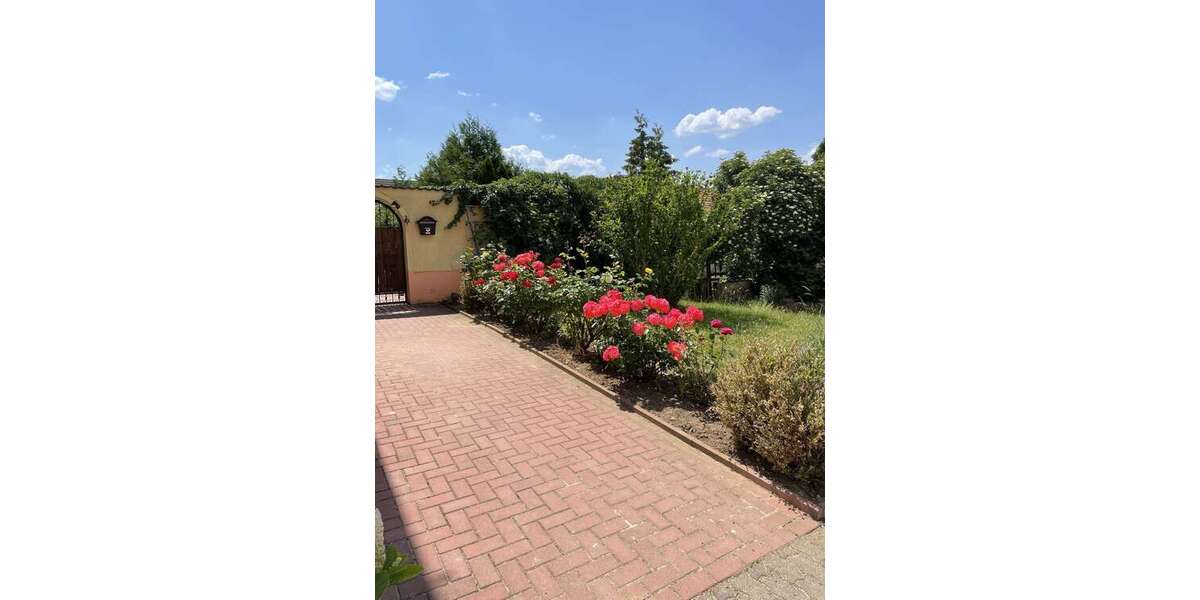 Renovierte 3 Zimmer Wohnung zu vermieten. - Appartement Höhnstedt Höhnstedt | Angebot:24485030