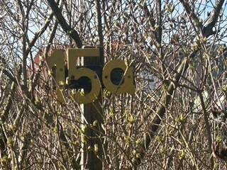 Grundstück Petersberg Sennewitz - 63.800&euro; | Angebot:26153810