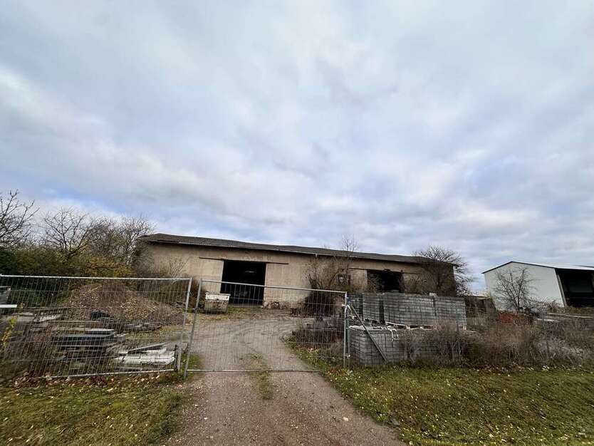 Halle in Osternienburger Land 15.000 € 540 m²