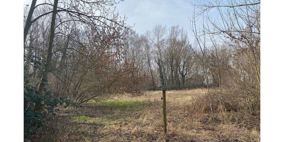 Grundstück Halle (Saale) Seeben - 55.000&euro; | Angebot:25927891