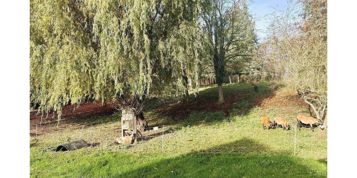 Einfamilienhaus Seegebiet Mansfelder Land Hornburg - 4 Zimmer, 115 m&sup2;, 1.100&euro; | Angebot:26867191
