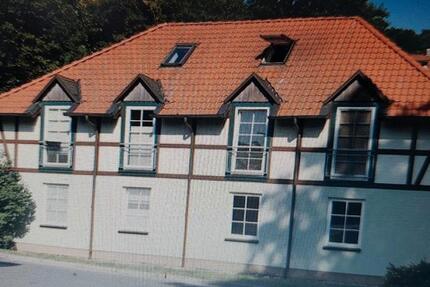 Wohnung Halle (Saale) Damaschkestraße - 1 Zimmer, 18 m&sup2;, 384&euro; | Angebot:25362578