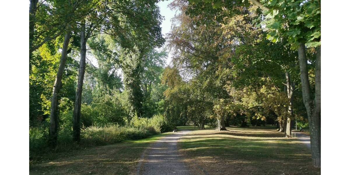 Etagenwohnung Delitzsch - 2 Zimmer, 82 m&sup2;, 150.000&euro; | Angebot:19299939