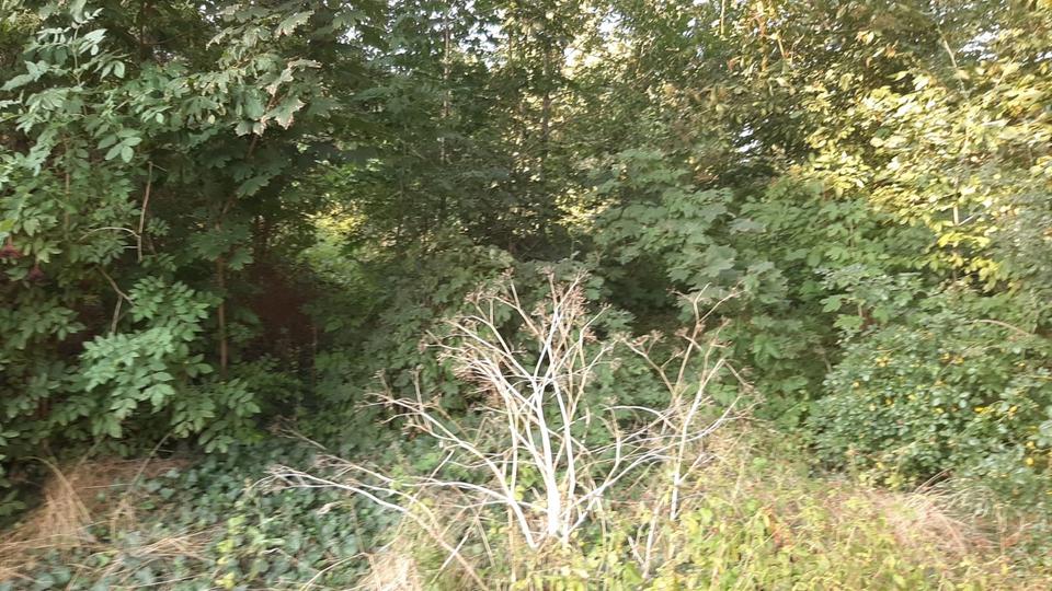 Mehrfamilienhaus, Wohnhaus Bad Lauchstädt - 93.000&euro; | Angebot:27155305