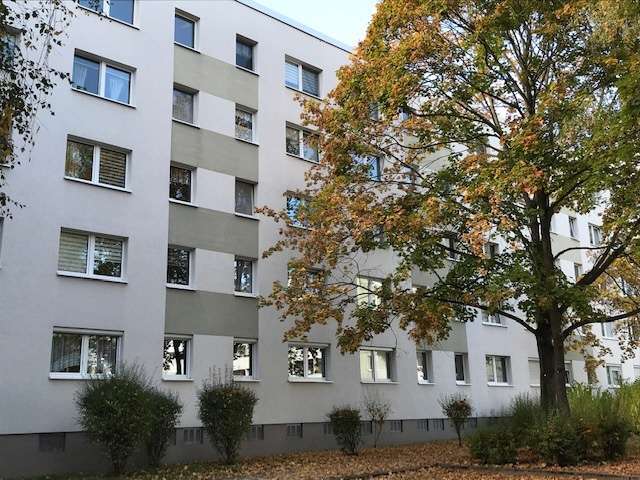 Wohnung zum Mieten in Halle (Saale) 340 € 56.65 m²