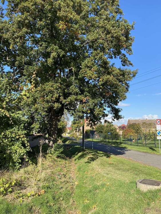 Selbstverwirklichung auf 2.619 qm großem Grundstück + im Umkreis von Halle (Saale) 3 zimmer