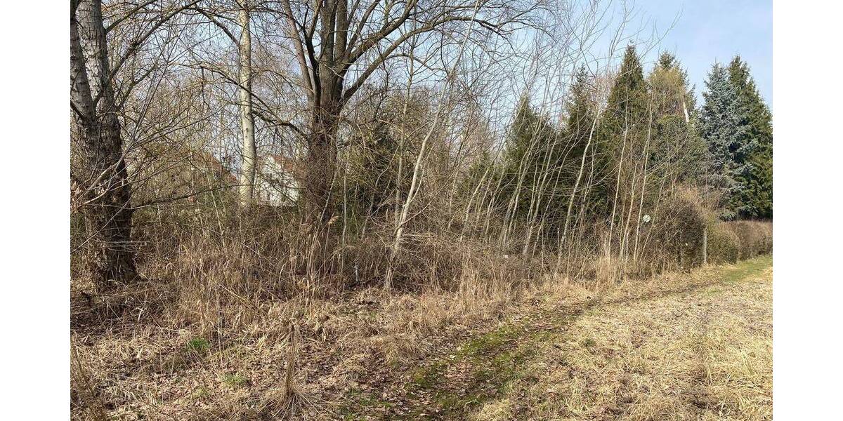 Grundstück Halle (Saale) Seeben - 55.000&euro; | Angebot:25927891