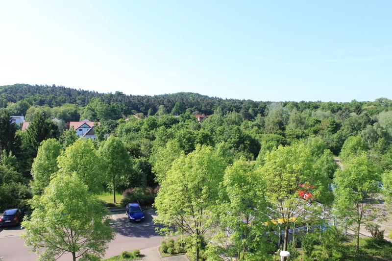 Ausblick in die Heide - ab Mitte März Ihre neue Wohnung zimmer