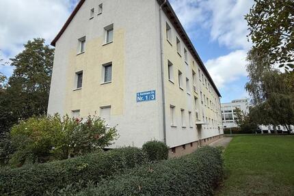 Wohnung Halle (Saale) Damaschkestraße - 3 Zimmer, 64 m&sup2;, 109.000&euro; | Angebot:27692944