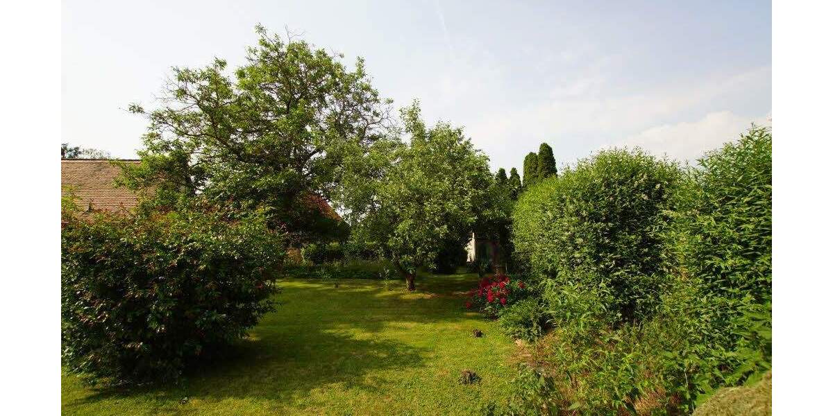 Einfamilienhaus Schkopau-Hohenweiden Hohenweiden - 4 Zimmer, 126 m&sup2;, 490.100&euro; | Angebot:25803106