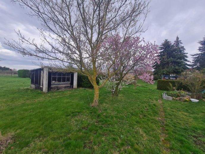 Mehrfamilienhaus, Wohnhaus Sandersdorf-Brehna Ramsin - 5 Zimmer, 126 m&sup2;, 253.200&euro; | Angebot:25770038