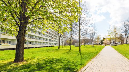 Erdgeschoßwohnung Halle (Saale) Halle-Neustadt - 1 Zimmer, 37 m&sup2;, 320&euro; | Angebot:25378241