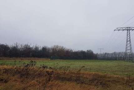 * Gewerbegrundstück zwischen Leipzig und Halle * zimmer