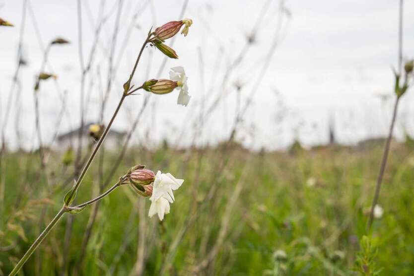 BAUTRÄGERFREI: Ellerbacher Höfe: ANKOMMEN.WOHLFÜHLEN.BLEIBEN. zimmer