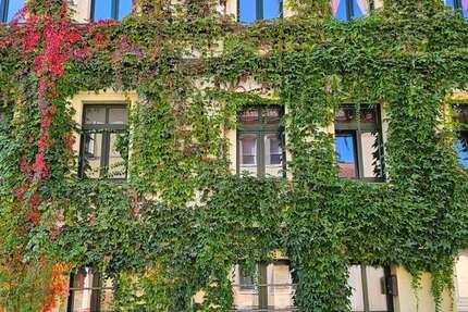 Wohnung Halle (Saale) Am Wasserturm/Thaerviertel - 1 Zimmer, 40 m&sup2;, 400&euro; | Angebot:27541956