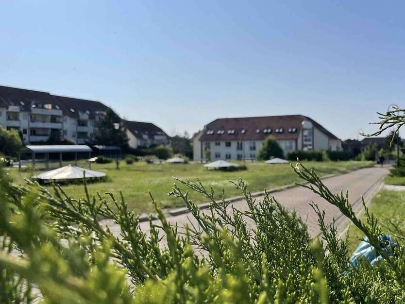Wohnung zum Mieten in Lieskau 473 € 59.05 m²
