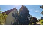 Einfamilienhaus Salzatal - 3 Zimmer, 107 m&sup2;, 365.000&euro; | Angebot:21245875