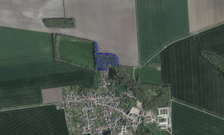 Grundstück zu verkaufen in 06369 Köthen (Anhalt) OT Merzien 36.700 € 20851 m²