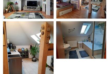 Wohnung Halle (Saale) Dölau - 1 Zimmer, 56 m&sup2;, 240&euro; | Angebot:25791153