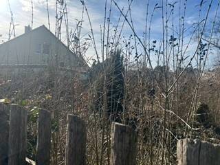 Grundstück Petersberg Sennewitz - 63.800&euro; | Angebot:26153810