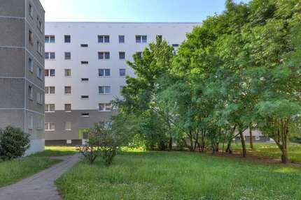 Wohnung Halle Frohe Zukunft - 3 Zimmer, 68 m&sup2;, 479&euro; | Angebot:26999171