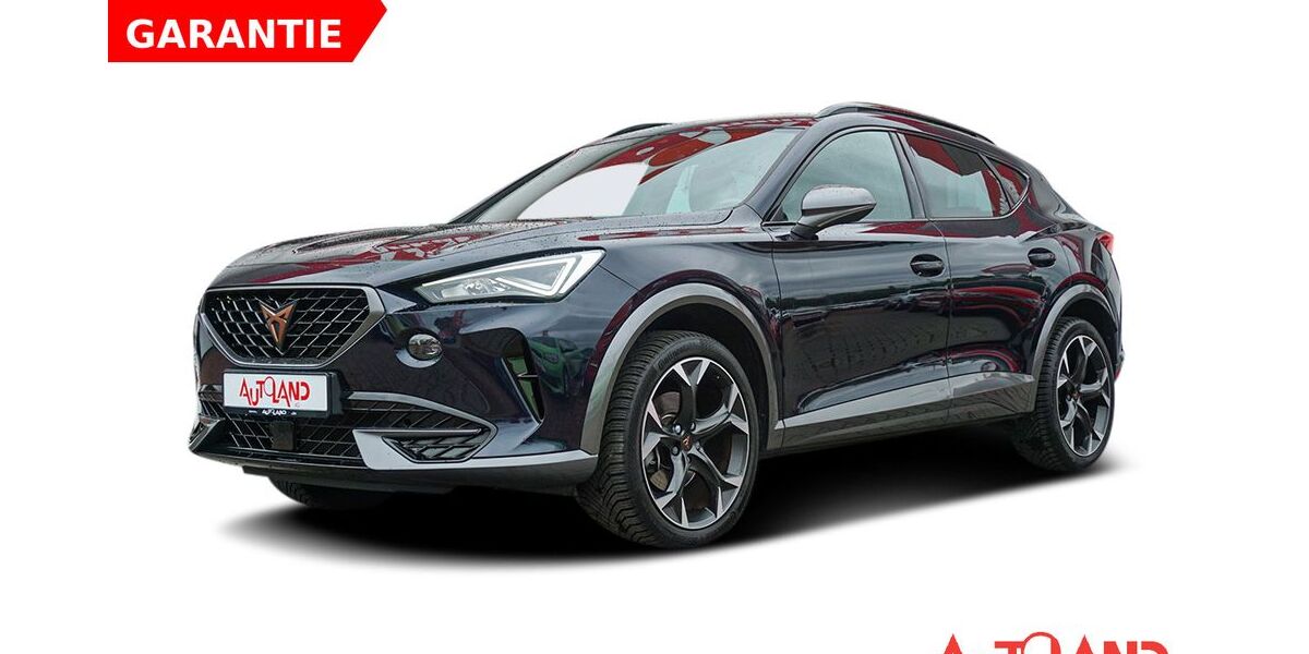 Cupra Formentor 31.056 km 26.950 &euro; Halle 06122