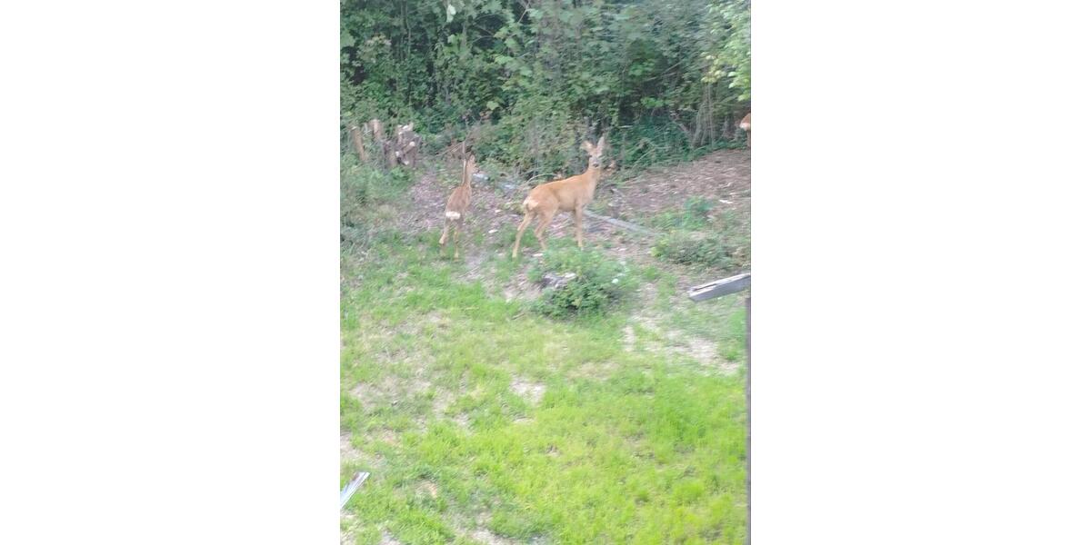 Einfamilienhaus Eisleben (Lutherstadt) - 5 Zimmer, 200 m&sup2;, 99.900&euro; | Angebot:22643215