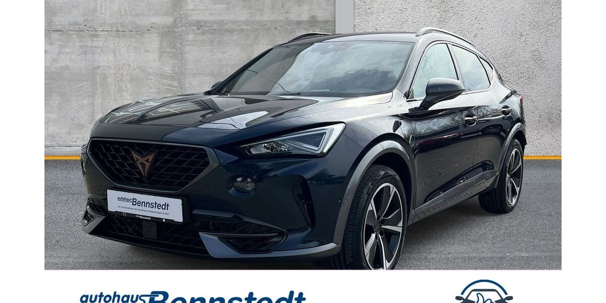 Cupra Formentor 31.412 km 24.420 &euro; Salzatal OT Bennstedt 06198