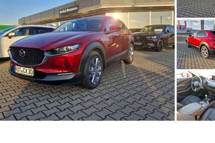 Mazda CX-30 6.706 km 27.599 &euro; Köthen 06366
