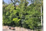 INNERSTÄDTISCHES ENTWICKLUNGSGRUNDSTÜCK - Grundstück Merseburg | Angebot:27281371