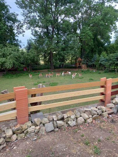 Einfamilienhaus Bad Lauchstädt - 149.000&euro; | Angebot:26019471