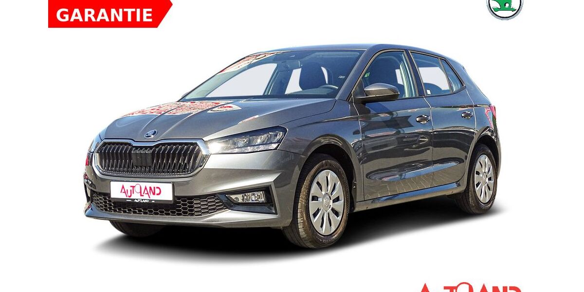 Skoda Fabia 37.212 km 16.950 &euro; Eisleben 06295